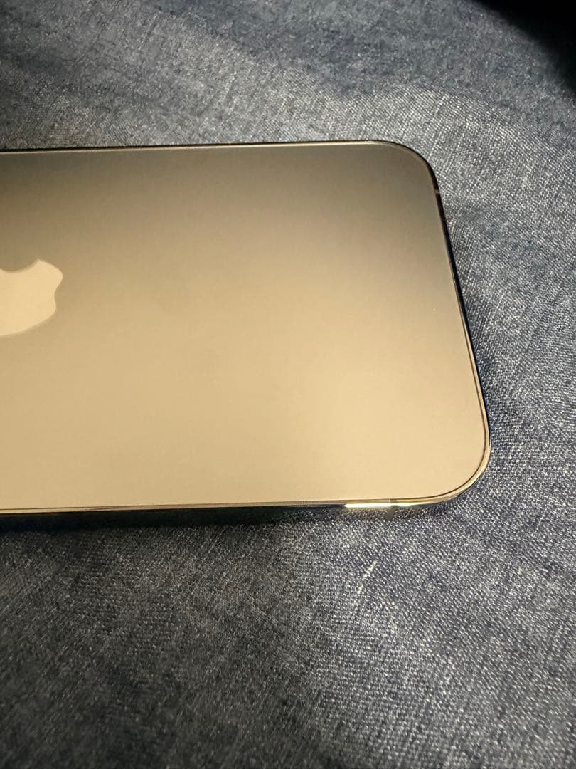 Apple iPhone 13 Pro グラファイト256GB本体