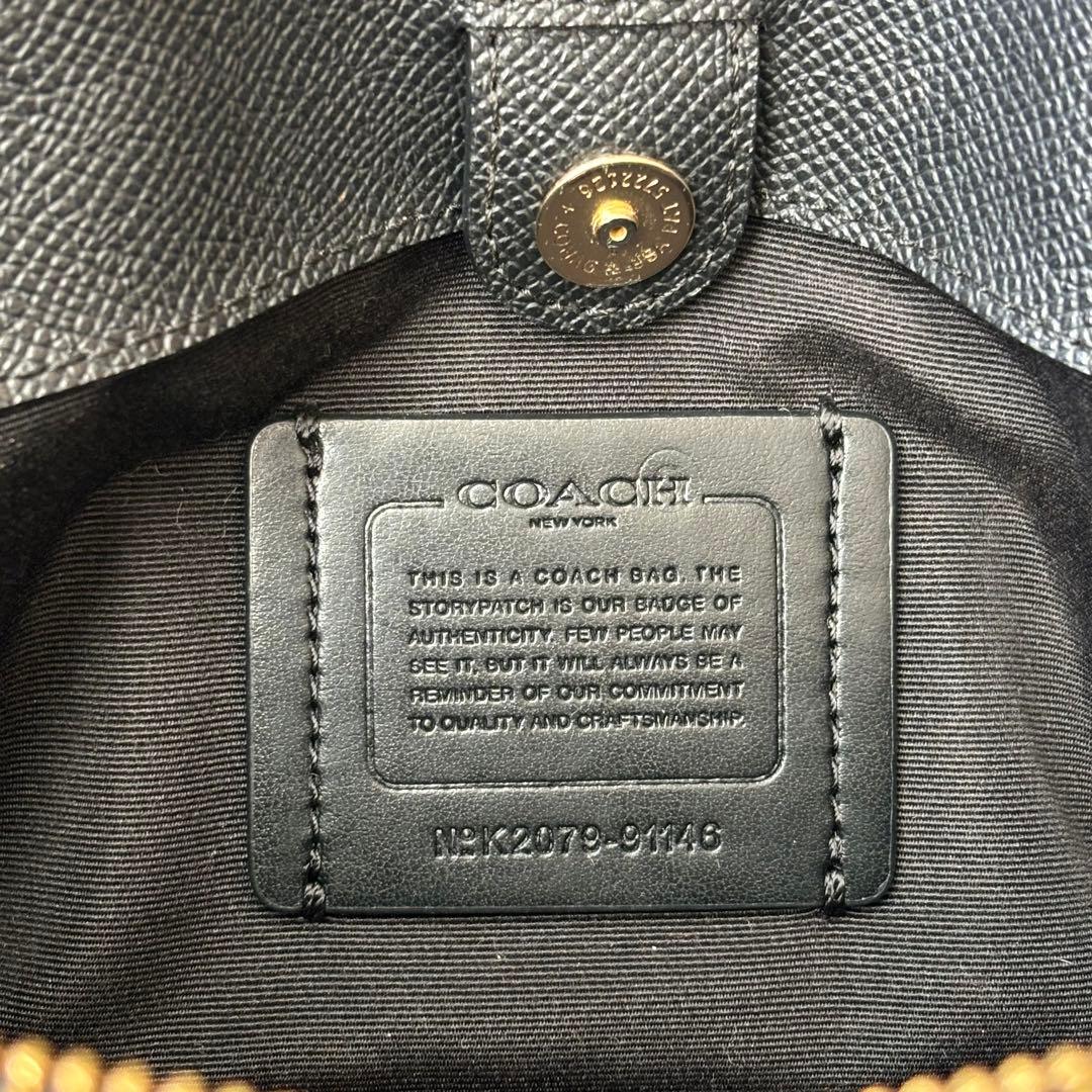 ら*む様 美品✨COACH 91146 ミニリリーキャリオール 2WAYハンドバ