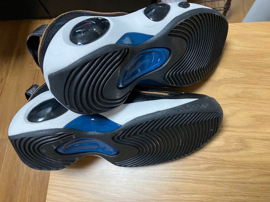 NIKE　エア ズーム フライト95 AIR ZOOM FLIGHT95