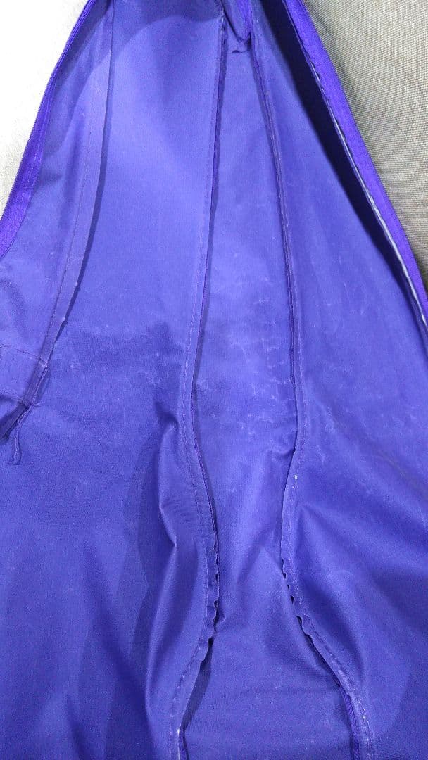 GYPSY ROSE 　ジプシーローズ　ギター　GRA1K/CPP　ケース付き