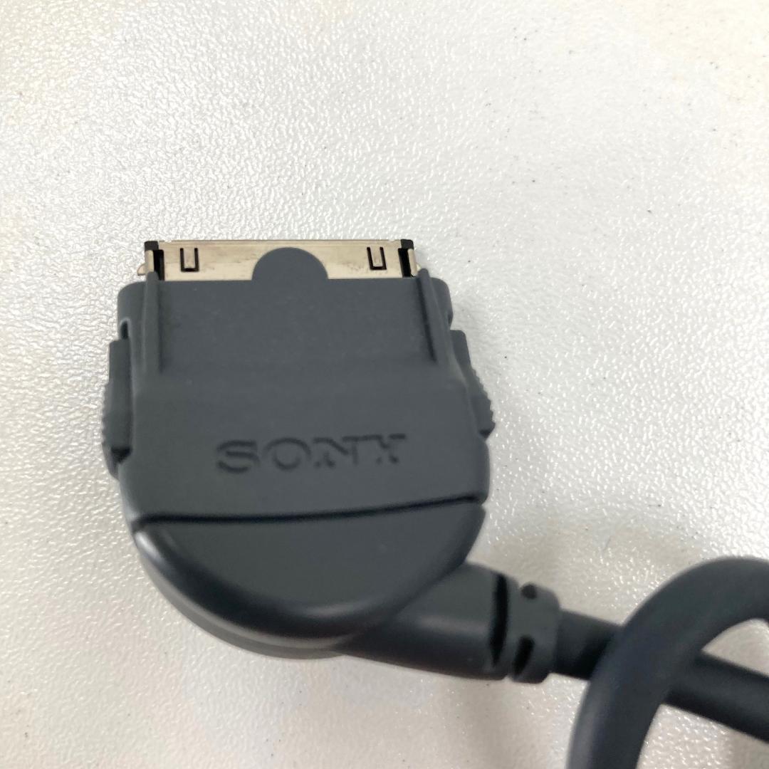 SONY ソニー　ウォークマン　DVDWALKMAN　D-VM1　液晶モニタ付き