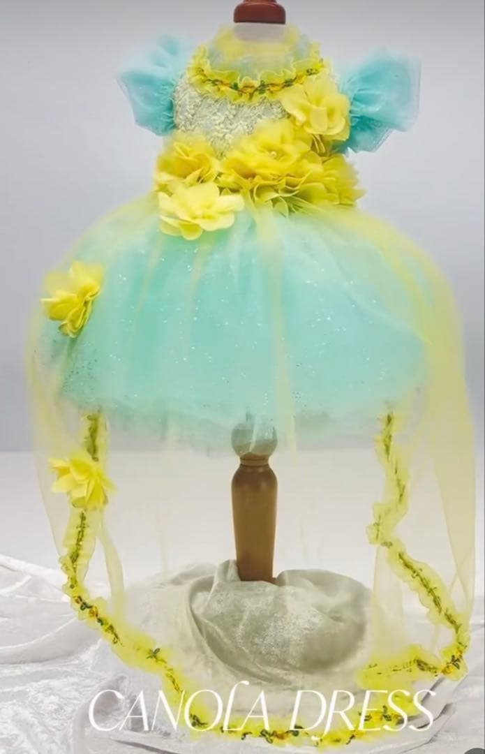 リュクスバーディー♡キャノラドレスSSサイズ完売サイズケース付き