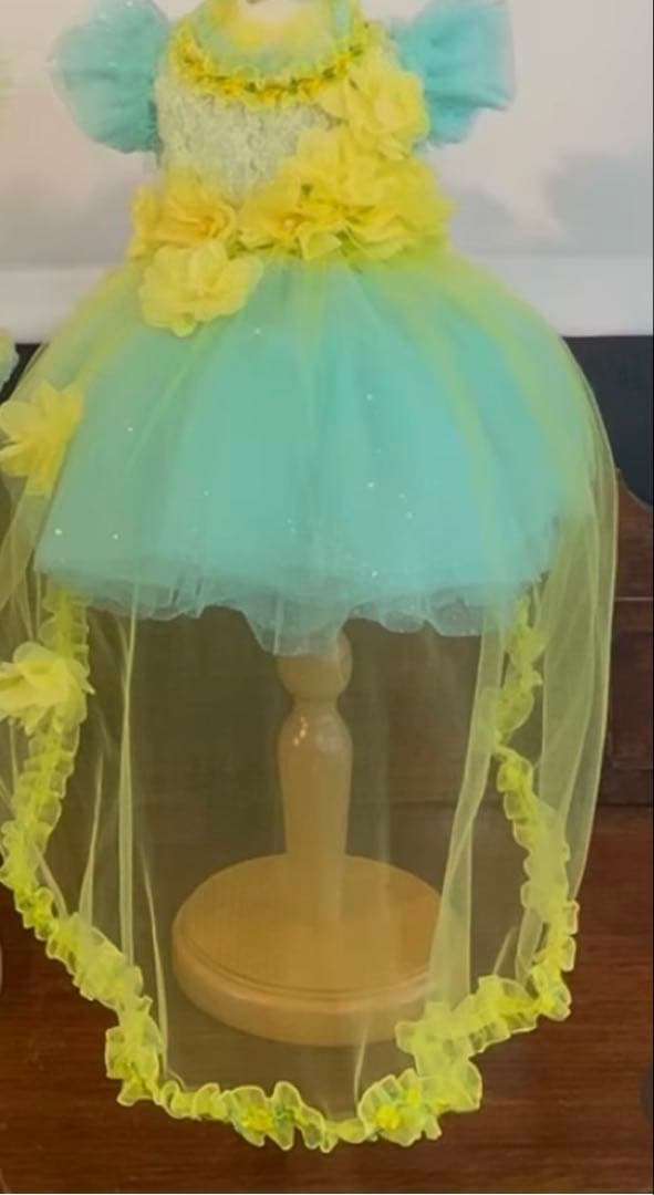 リュクスバーディー♡キャノラドレスSSサイズ完売サイズケース付き