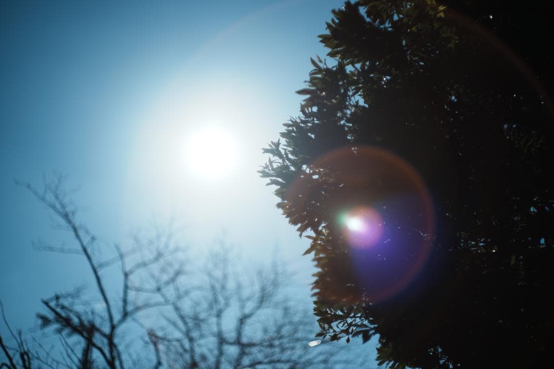 【エモい】ミノルタ Auto Rokkor-PF 58mm F1.4 438