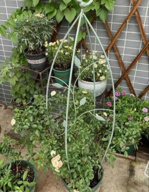 2個セット　白　ミニオベリスク トレリス 鳥 ガーデニング　支柱 バラ つる花