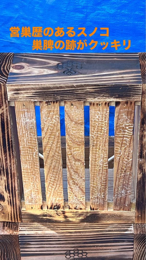 ニホンミツバチ　待箱　板厚4.5cm　気候変動対応型　入居歴のある巣箱を含む