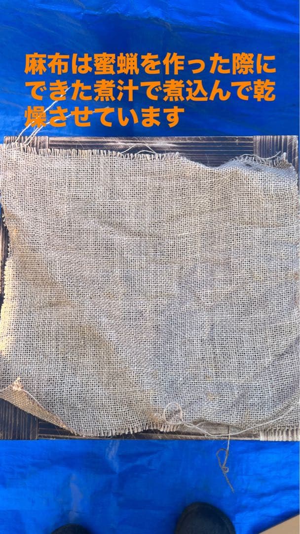 ニホンミツバチ　待箱　板厚4.5cm　気候変動対応型　入居歴のある巣箱を含む