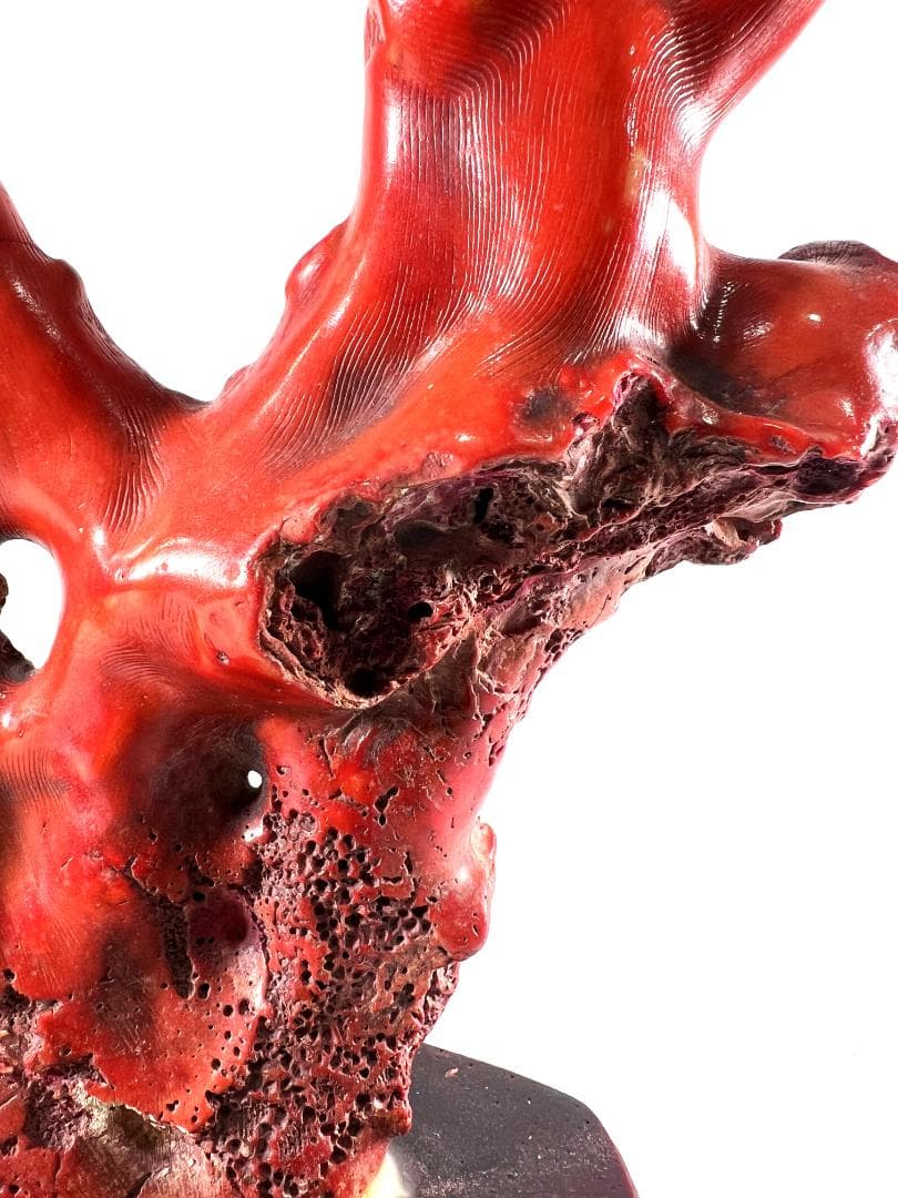 【送料無料・蔵出し品】珊瑚　珊瑚礁　赤珊瑚　台座付　飾り　詳細不明　写真参照