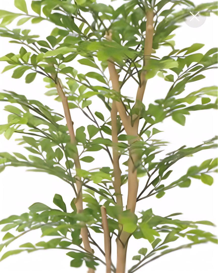 光触媒　人工観葉植物　フェイクグリーン　ナチュラルライトトネリコ1.1