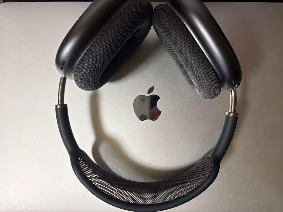 「ガオーらいおん」ブラックオーバーイヤーヘッドフォン本体