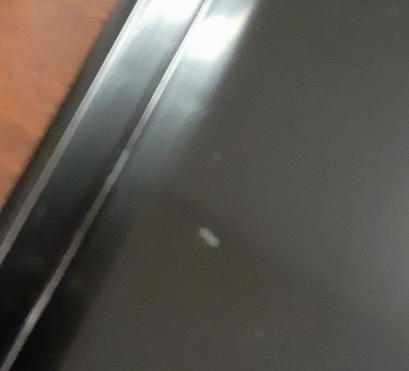 会席膳　5客 　漆匠　表清作　木箱付