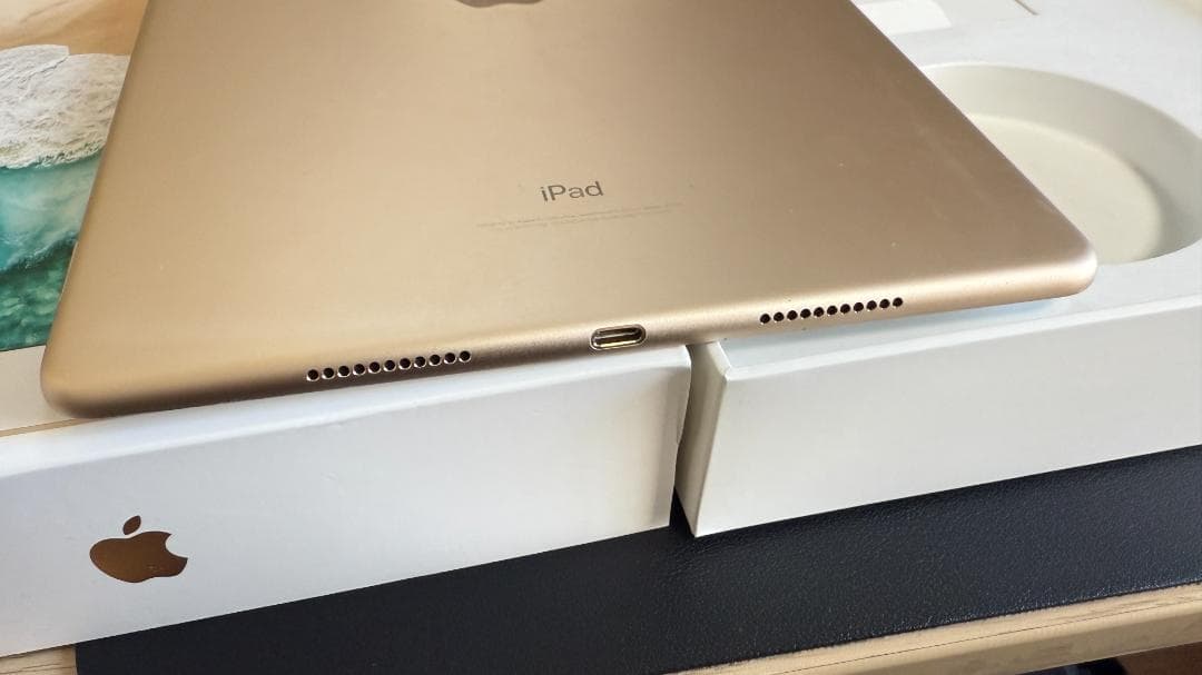 【ジャンク価格】iPad Pro 10.5インチ　256GB