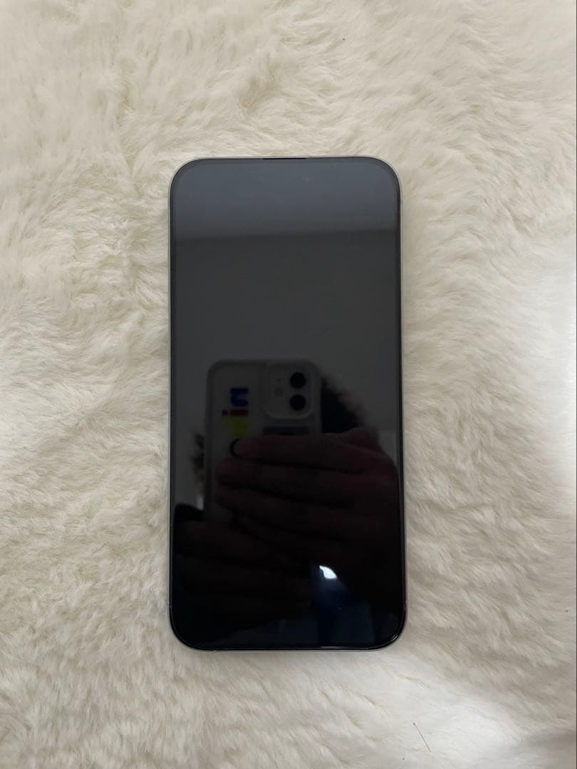 Nmaple iPhone 15 Pro Max 256GB 本体