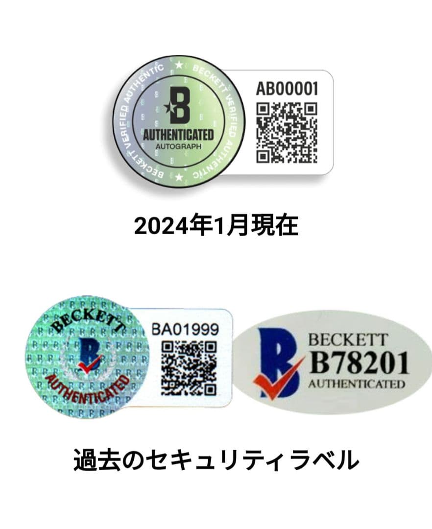 GARNACHO ガルナチョ サイン入りジャージ　アルゼンチン代表