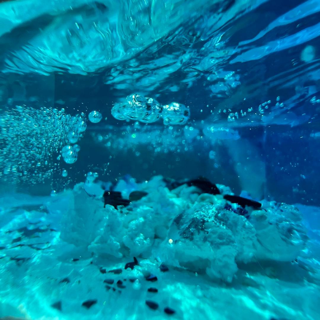 【波紋アート】さざなみクリスタル・プレミアム／期間限定でマルチminiライト付き