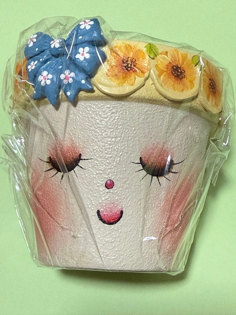 多肉植物用植木鉢 リメイク鉢 miyu 鉢 作家さんハンドメイド