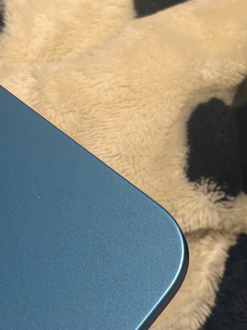 米国版　iPad 第10世代 64GB ブルー WiFi 画面保護フィルム付き