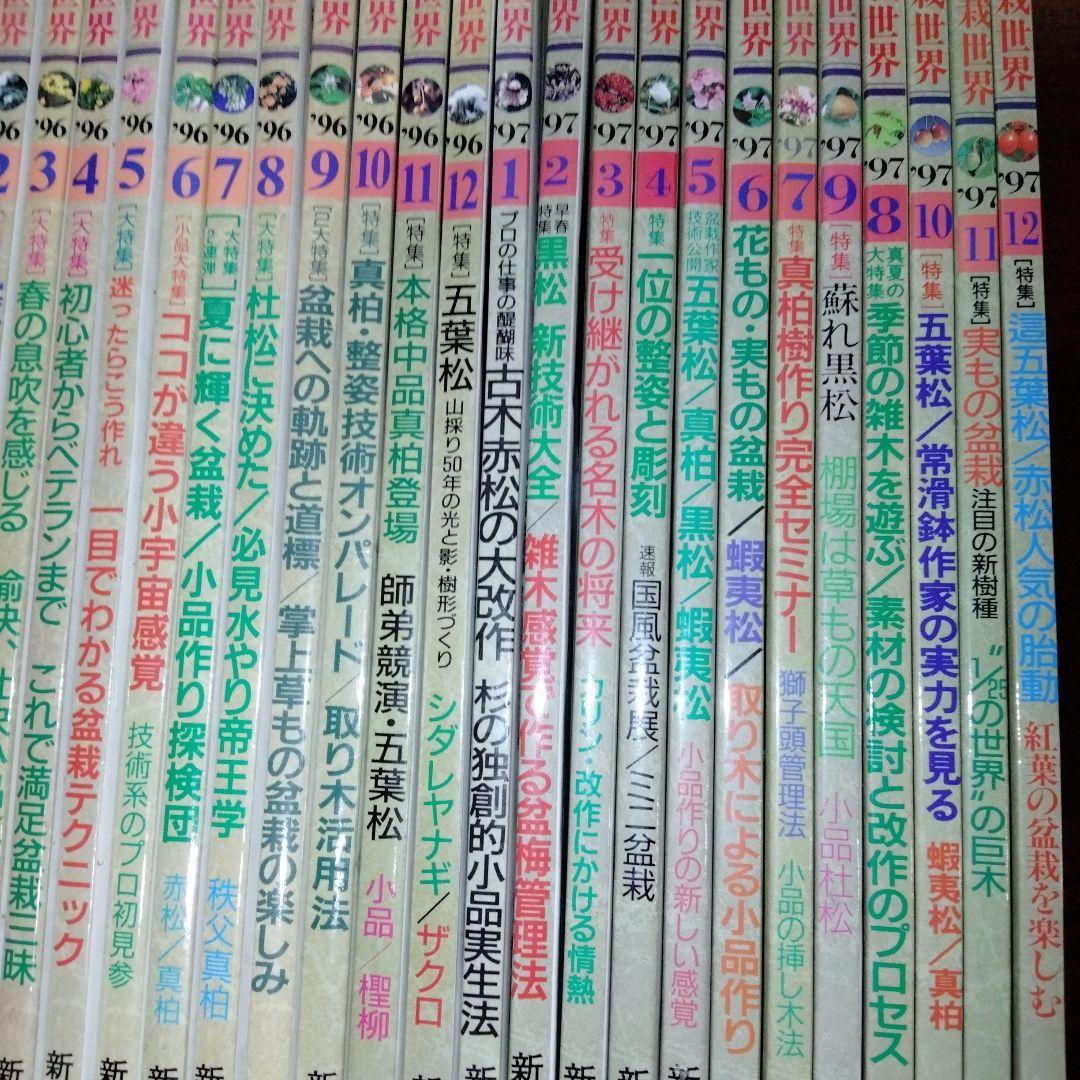 盆栽世界 1995-1997年 31冊　盆栽　BONSAI　平成　園芸　希少本