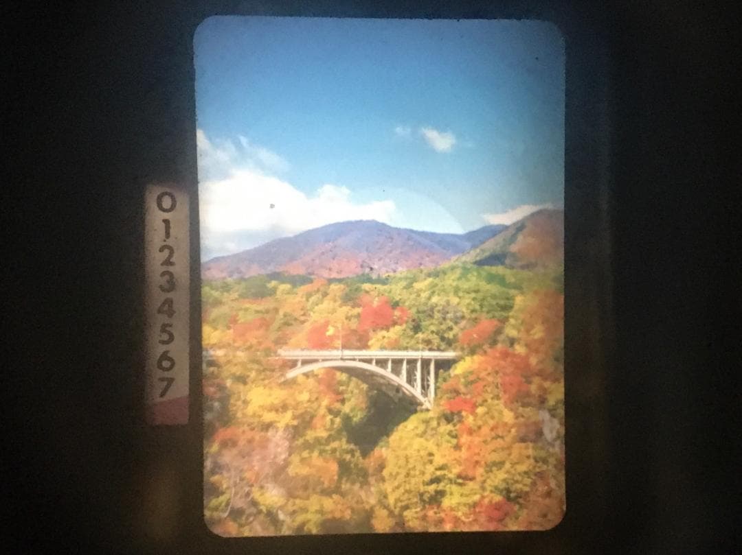 伊藤　ライトグリーン　オリンパス Pen FT 40、100mmレンズ