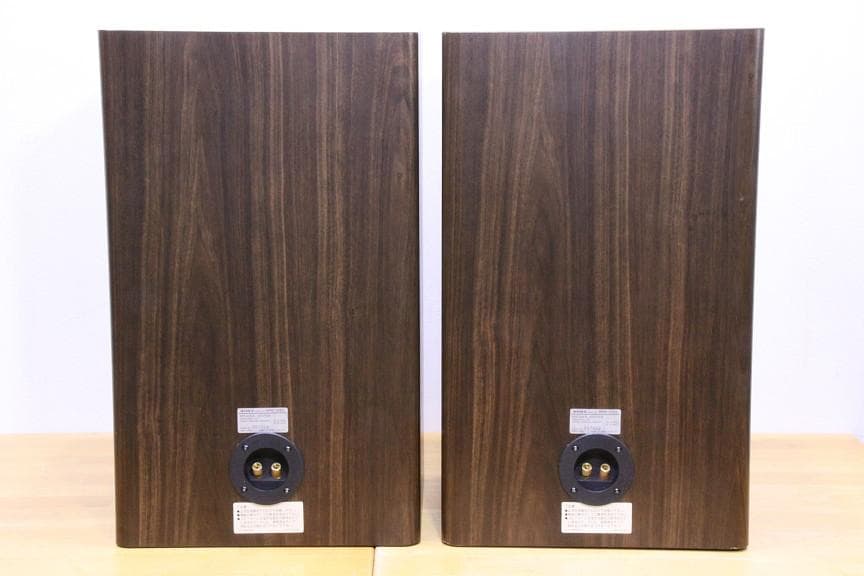 SONY 平面スピーカー APM-22ES