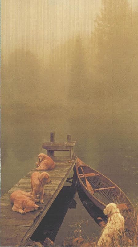 限定マット額装品/HERMES エルメス ブルース・ウェーバー アートポスター