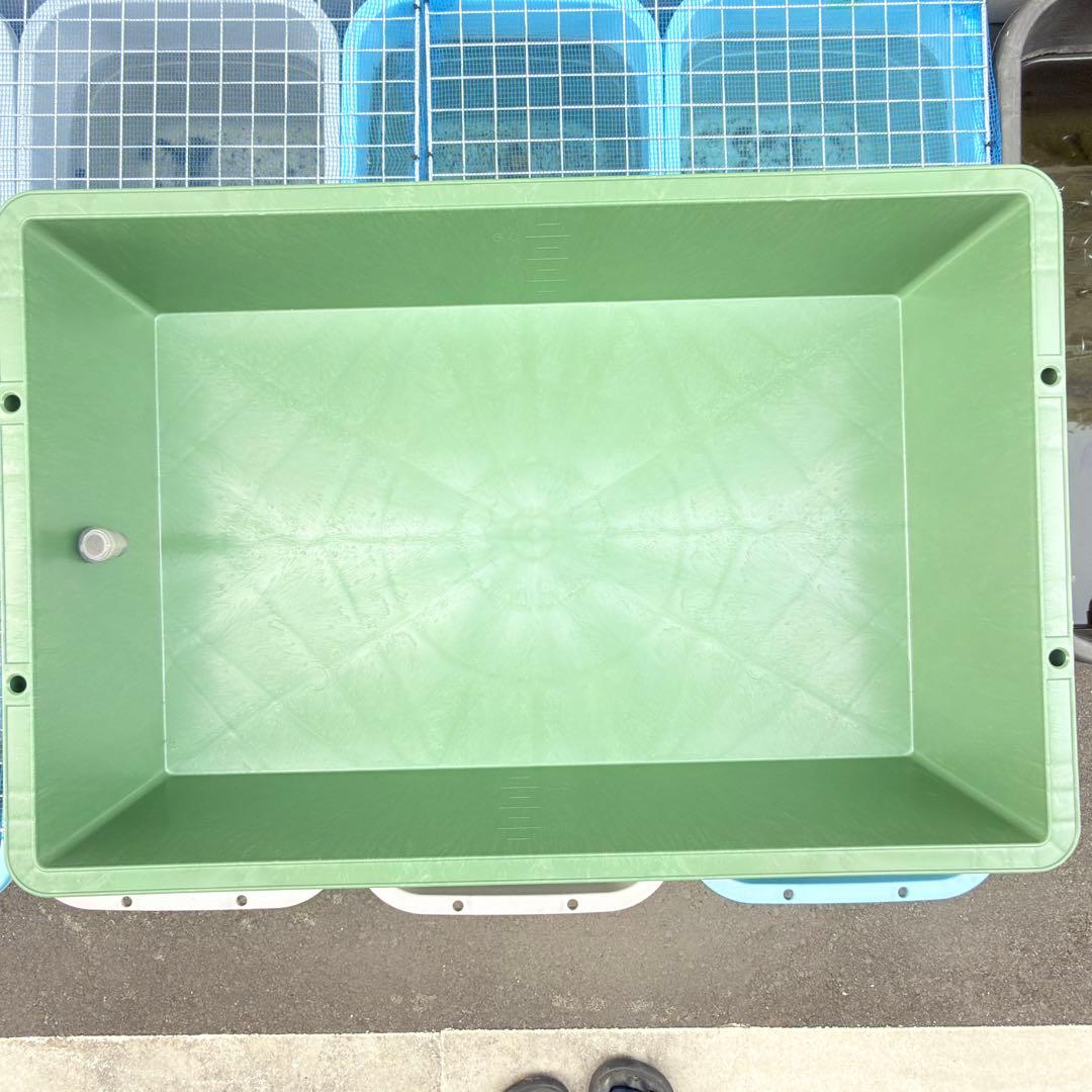 メダカ容器 トロ舟 80L オーバーフロー 2個 Wパッキン 雨対策 高耐久