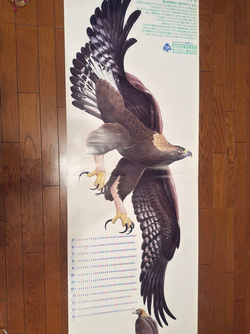 サントリー ポスター3枚セット アホウドリ イヌワシ 日本の県鳥 骨董品