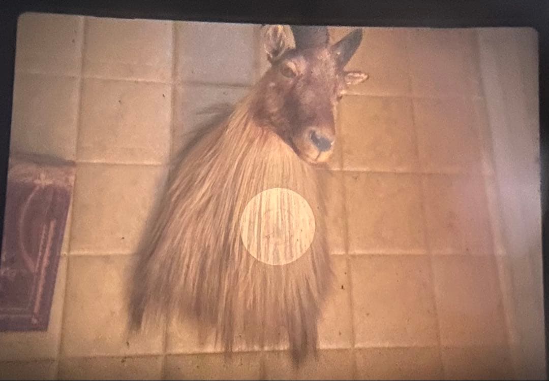 Zenza Bronica ETRS 75mm ゼニアブロニカ　グリップ付き