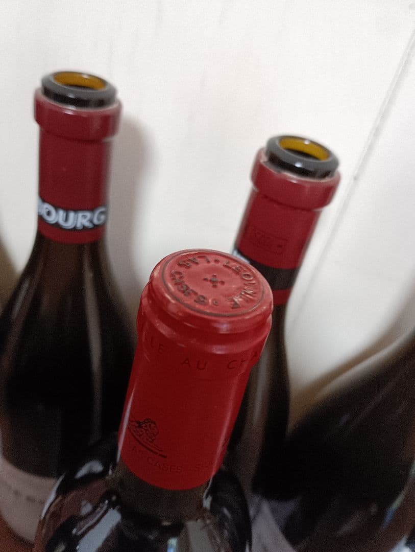 1997　レオヴィルラスカーズ