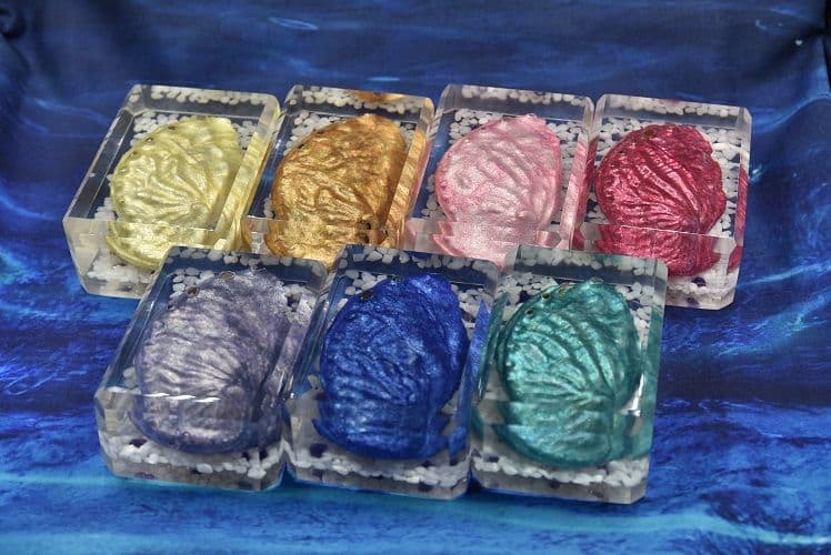 ハロウィン Jack-o'-lantern Abalone DA-11RD