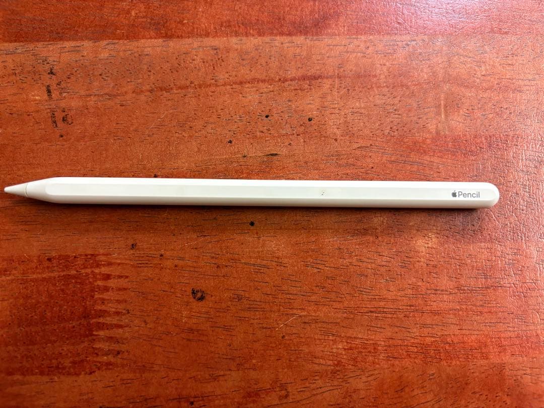 Apple iPad Pro (11インチ) 第4世代 256GB