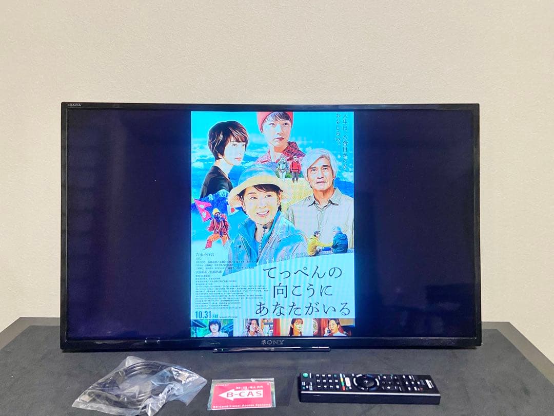 【今だけ優待価格】SONY BRAVIA 32V型HD・裏番組録画(外付HDD)