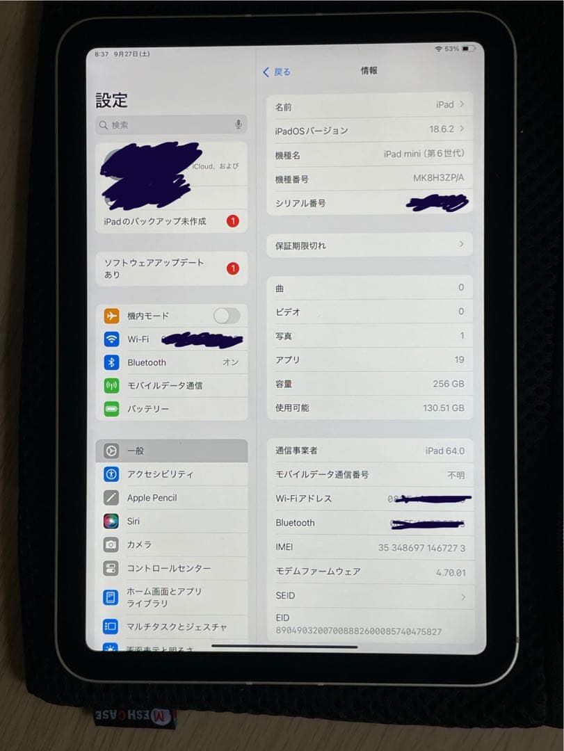iPad mini (第６世代) Wi-Fi+Cellular 256GB