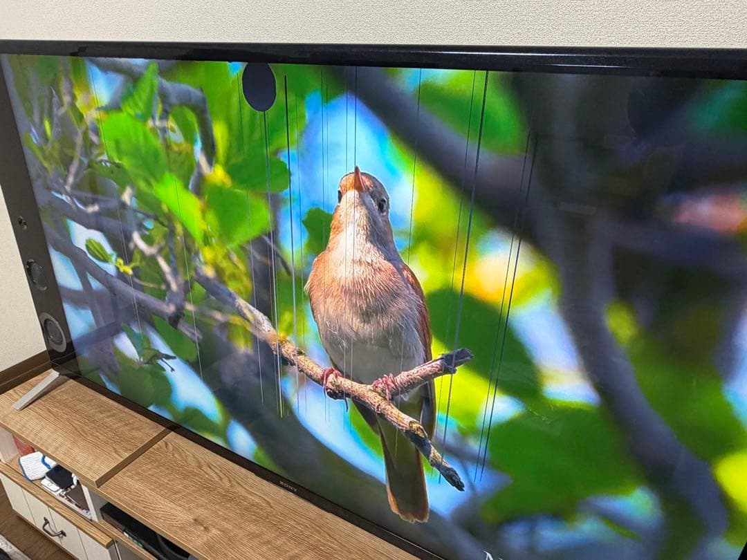 【ジャンク品】SONY BRAVIA KD-65X9200B 4K液晶テレビ
