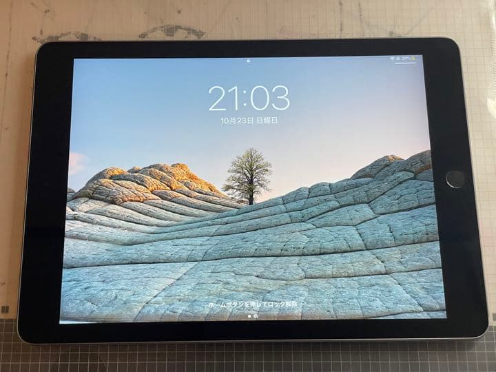 iPad 第6世代 WiFiモデル