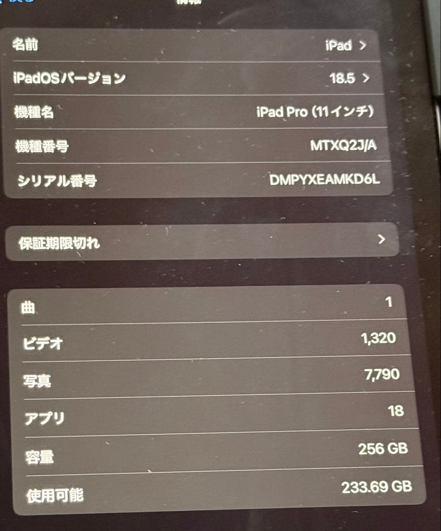 ipad pro 第1世代 256GB 11インチ バッテリー100% ＋おまけ