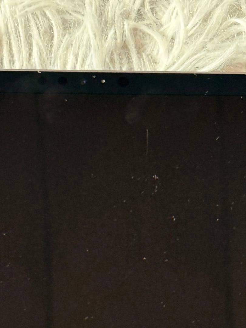 ipad pro 第1世代 256GB 11インチ バッテリー100% ＋おまけ