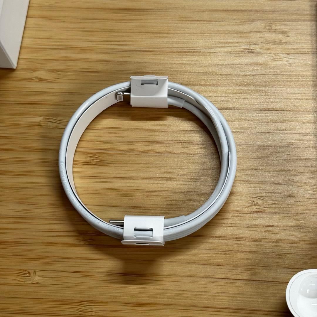 airpods pro 第1世代 MWP22J/A 本体