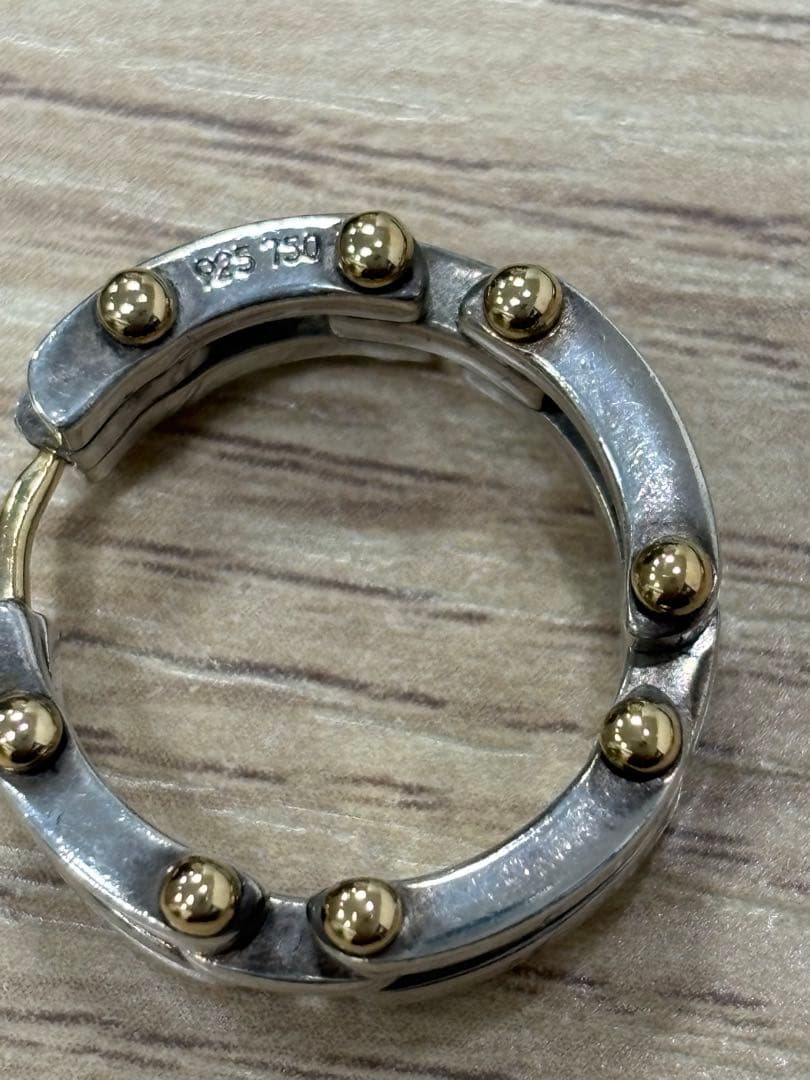 Tiffany & Co. ゲートリンク　フープピアス