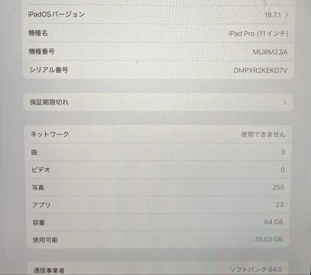 美品 Apple iPad Pro 11インチ 64G MU0M2J/A 箱付き