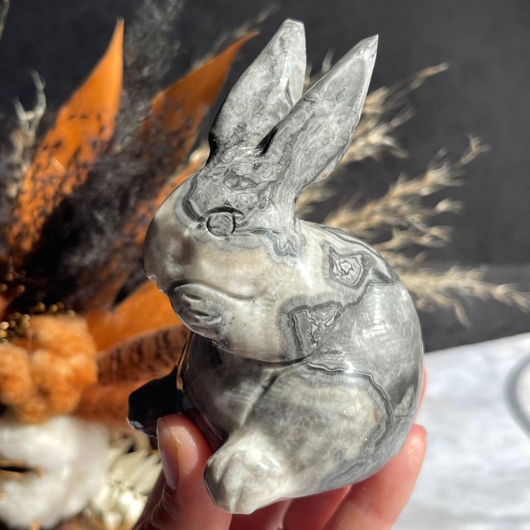 ピカソジャスパー うさぎ ラビット