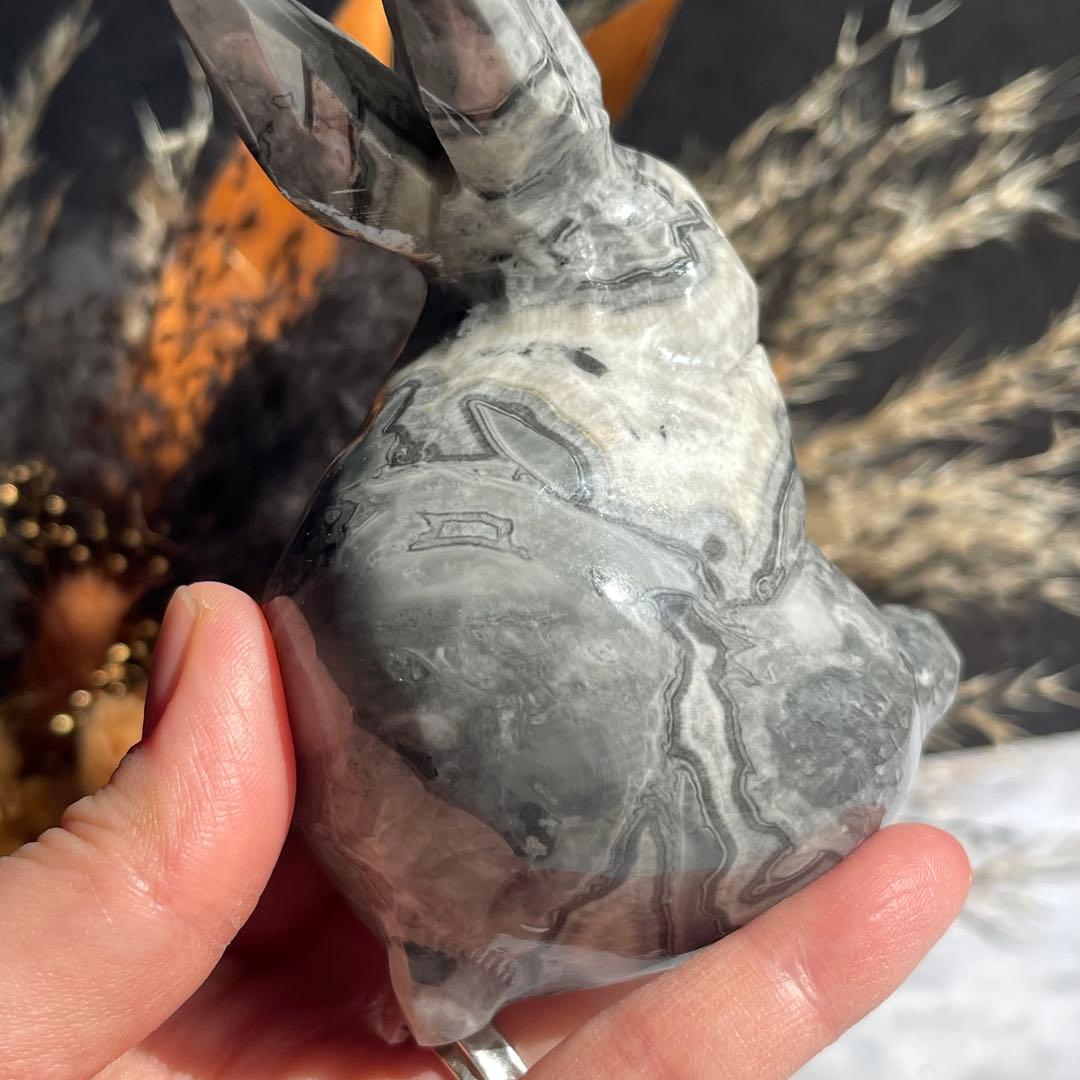 ピカソジャスパー うさぎ ラビット