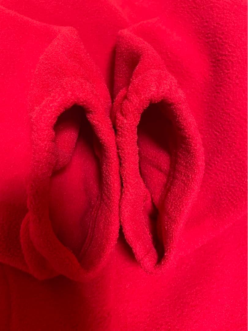 【値下げ】supreme シュプリーム　ポーラテックフリース　19aw 赤