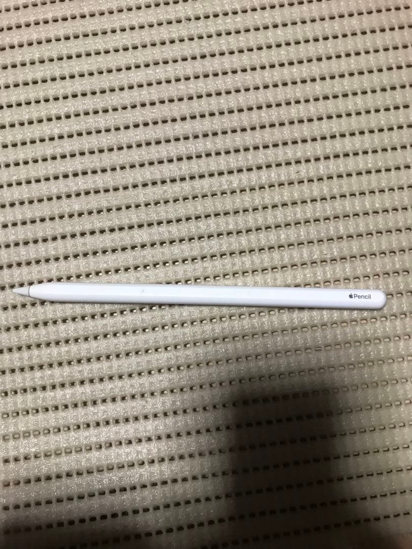 iPad Pro 12.9インチ 第3世代 256GB +Applepencil