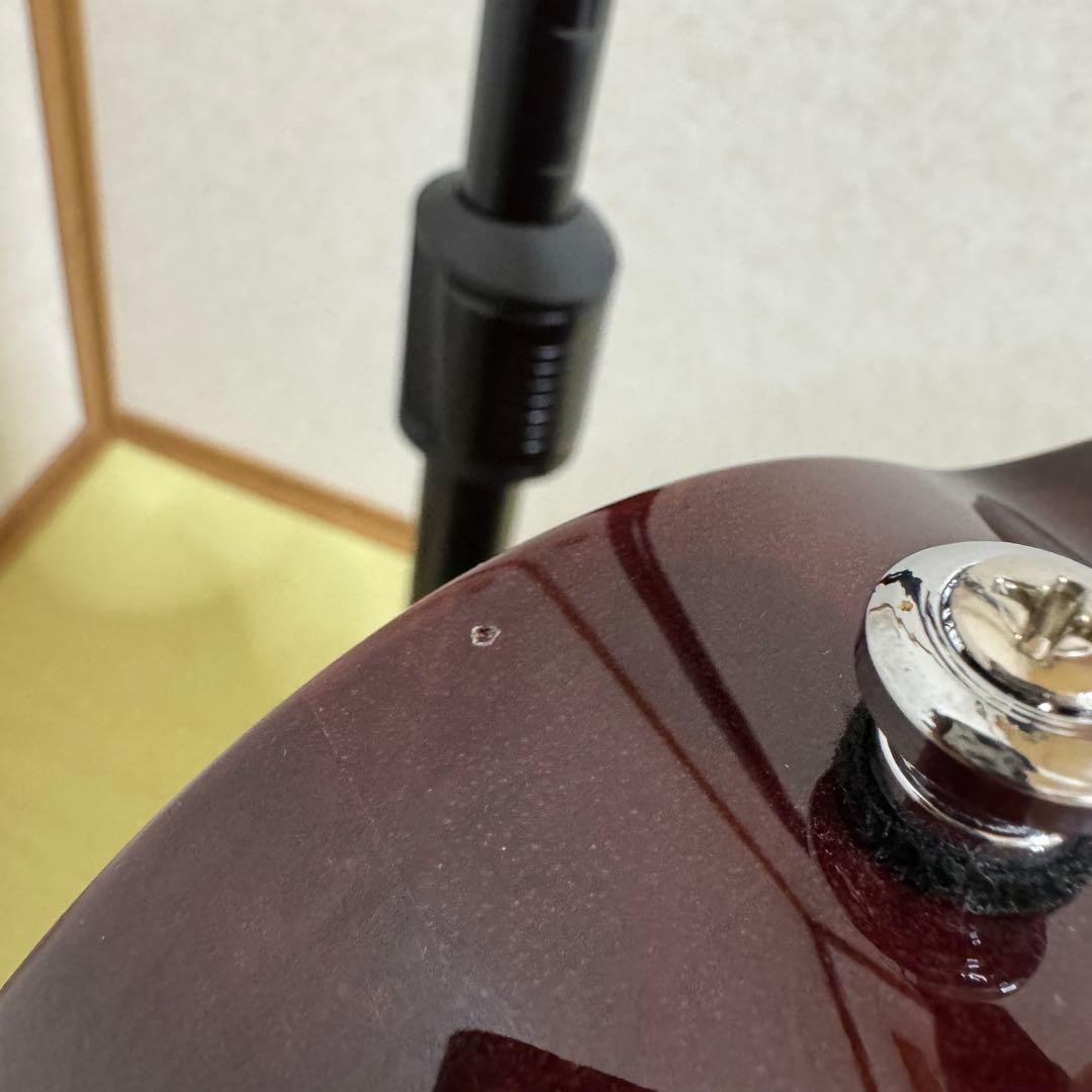 Aria Pro II APE-100 TS エレアコ ロック式ペグ交換済