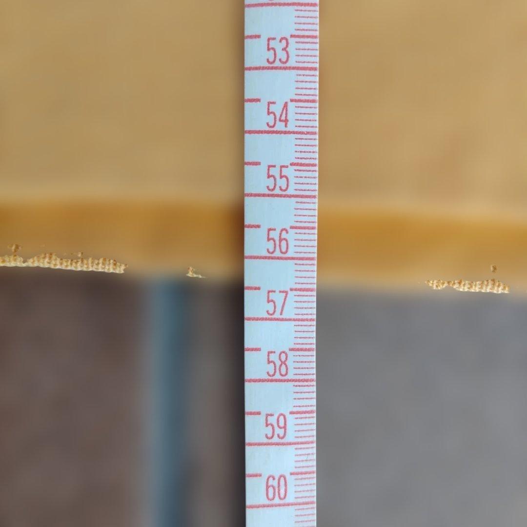 じ*が様 ヴィンテージスウェット前V wmca good guy