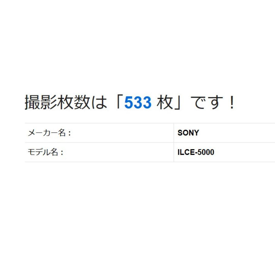❤即購入1000円OFF❤美品❤ SONY α5000 Wi-Fi 手振れ補正