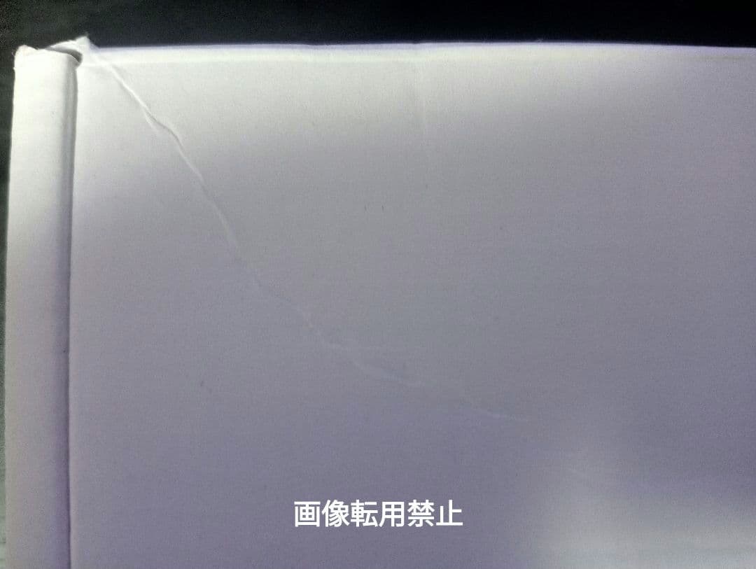 【新品未使用】エルコンドルパサー今治五彩織りタオル 1998年ジャパンカップ