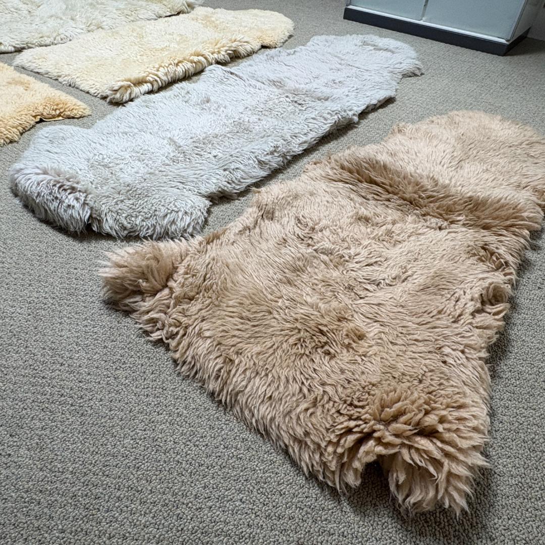 【5点セット】大判 ムートン ラグカーペット 羊毛