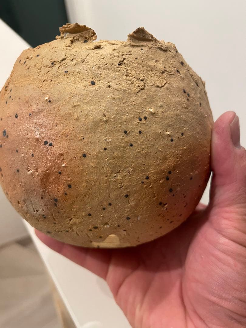 たけろうポット/ 炭焼チギリ/ L